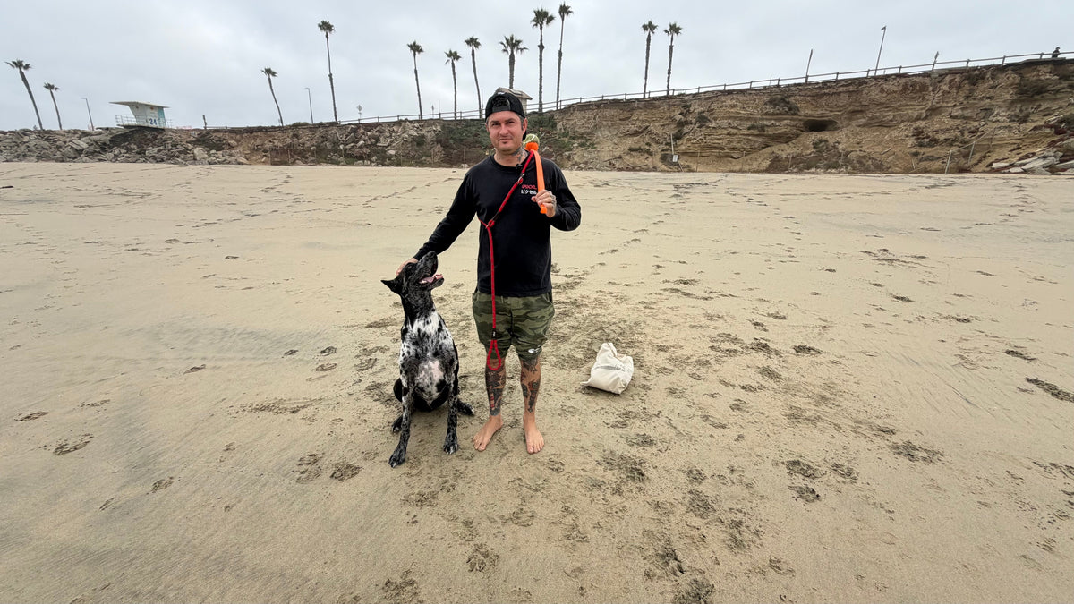 Dawn Patrol #14: Alex and Hank