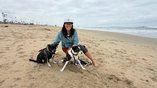 Dawn Patrol #15: Delia, Lily and Tommy