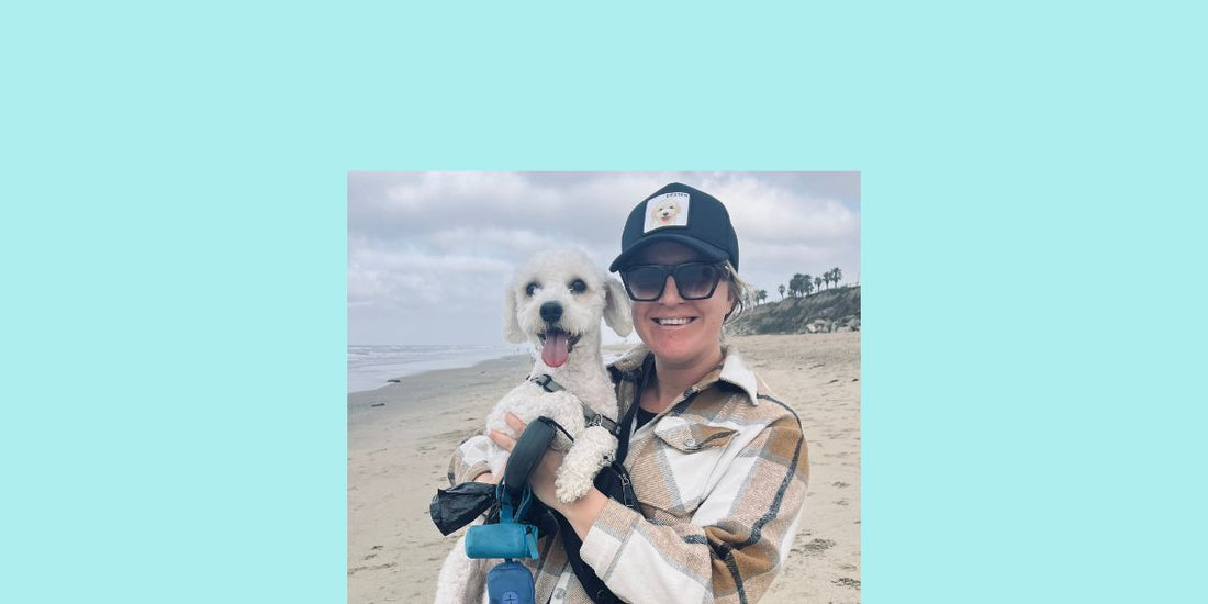 Dawn Patrol #2: Dexter's First Day at Dog Beach