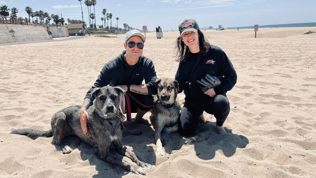Dawn Patrol #6 & #7: Meet Sky & Blue