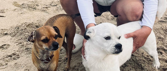 Dawn Patrol #4 & #5: Sasha & Coco