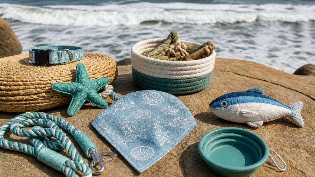 Best Coastal Themed Dog Accessories 2026: Top Picks