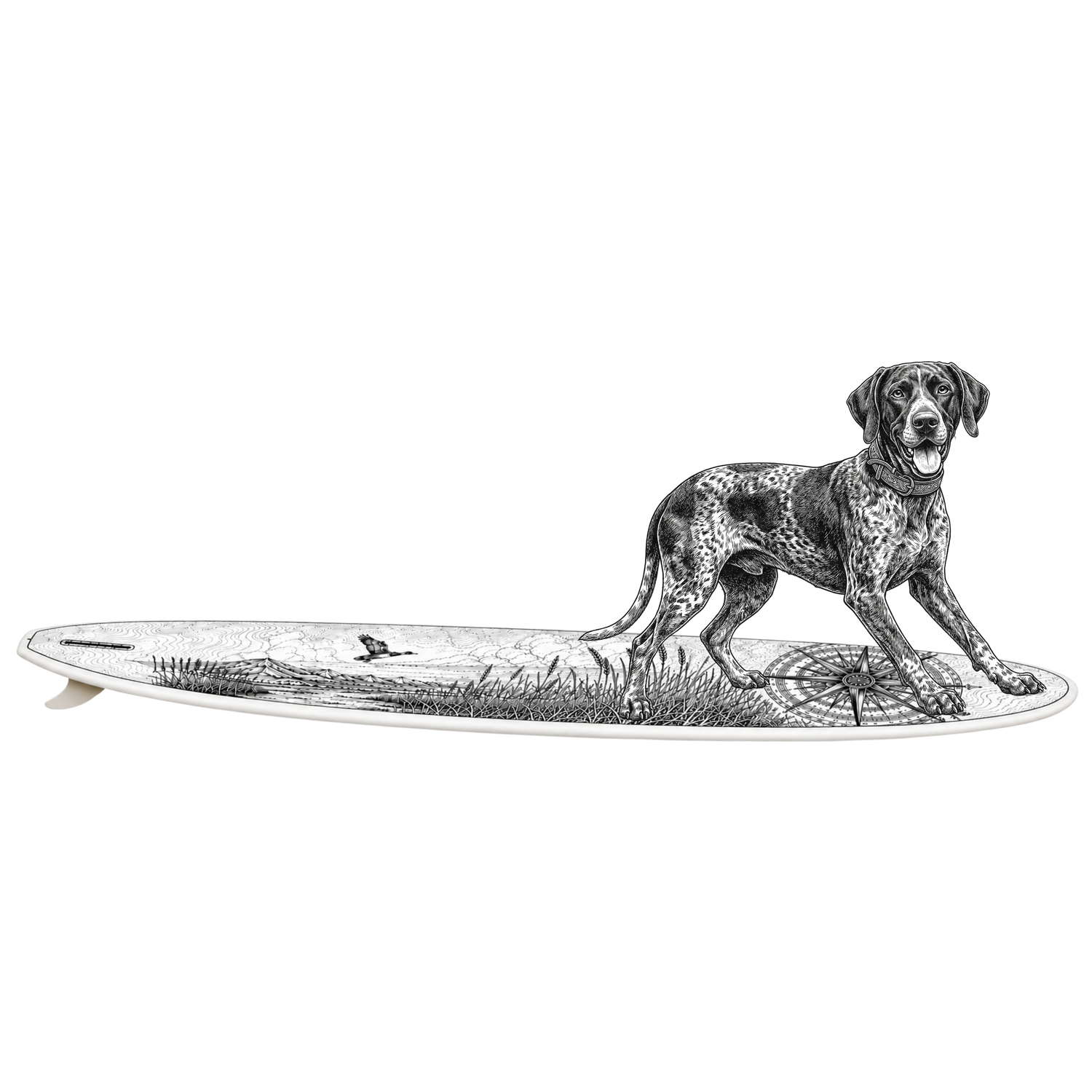 GERMAN SHORTHAIRED POINTER - Point Break Surfboard