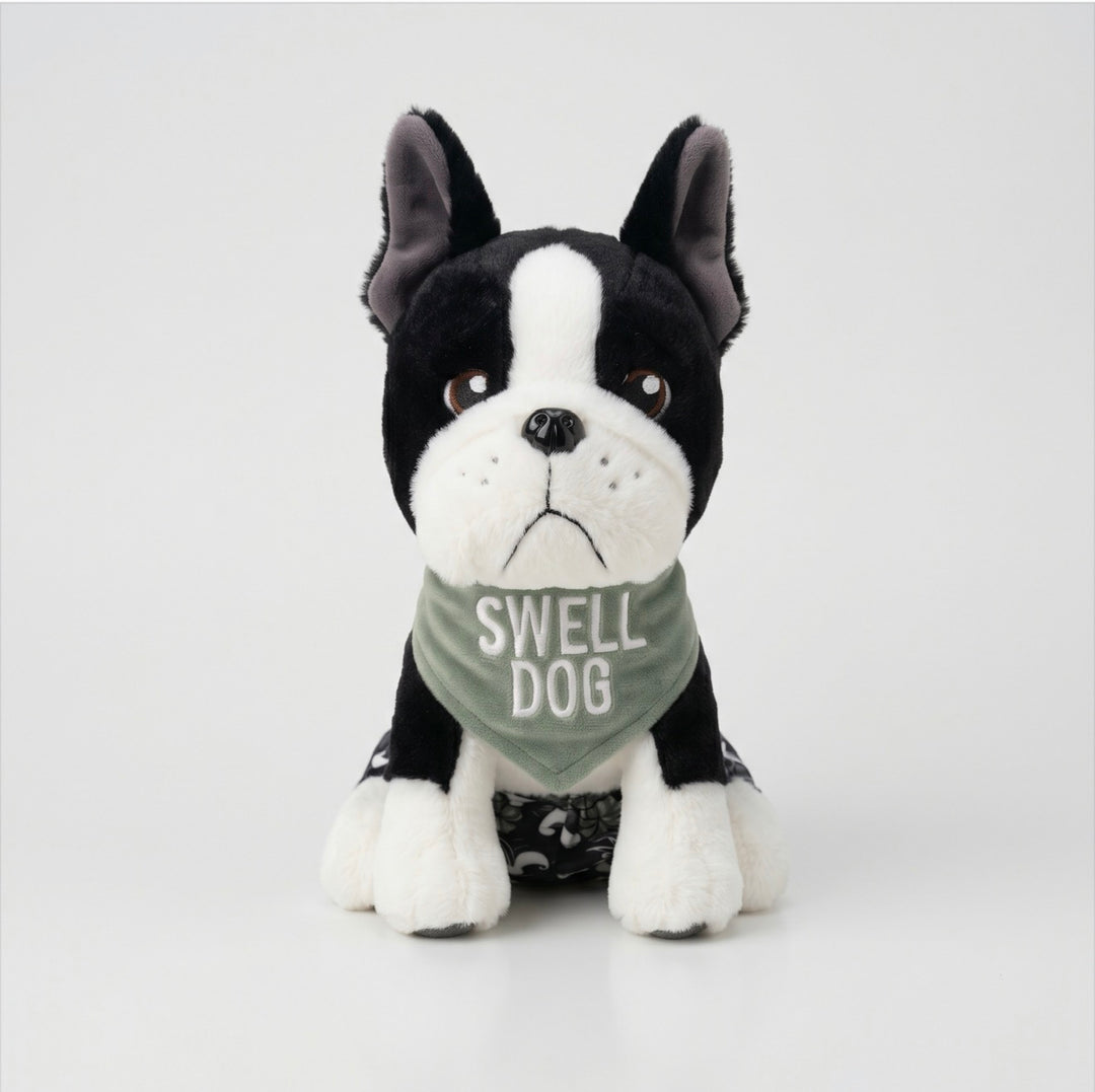 Buddy and the Color in the Waves — Book + Plush + Mini Tote (Pre-Order)