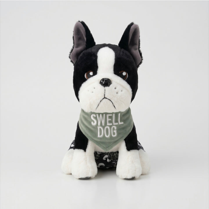 Buddy and the Color in the Waves — Book + Plush + Mini Tote (Pre-Order)
